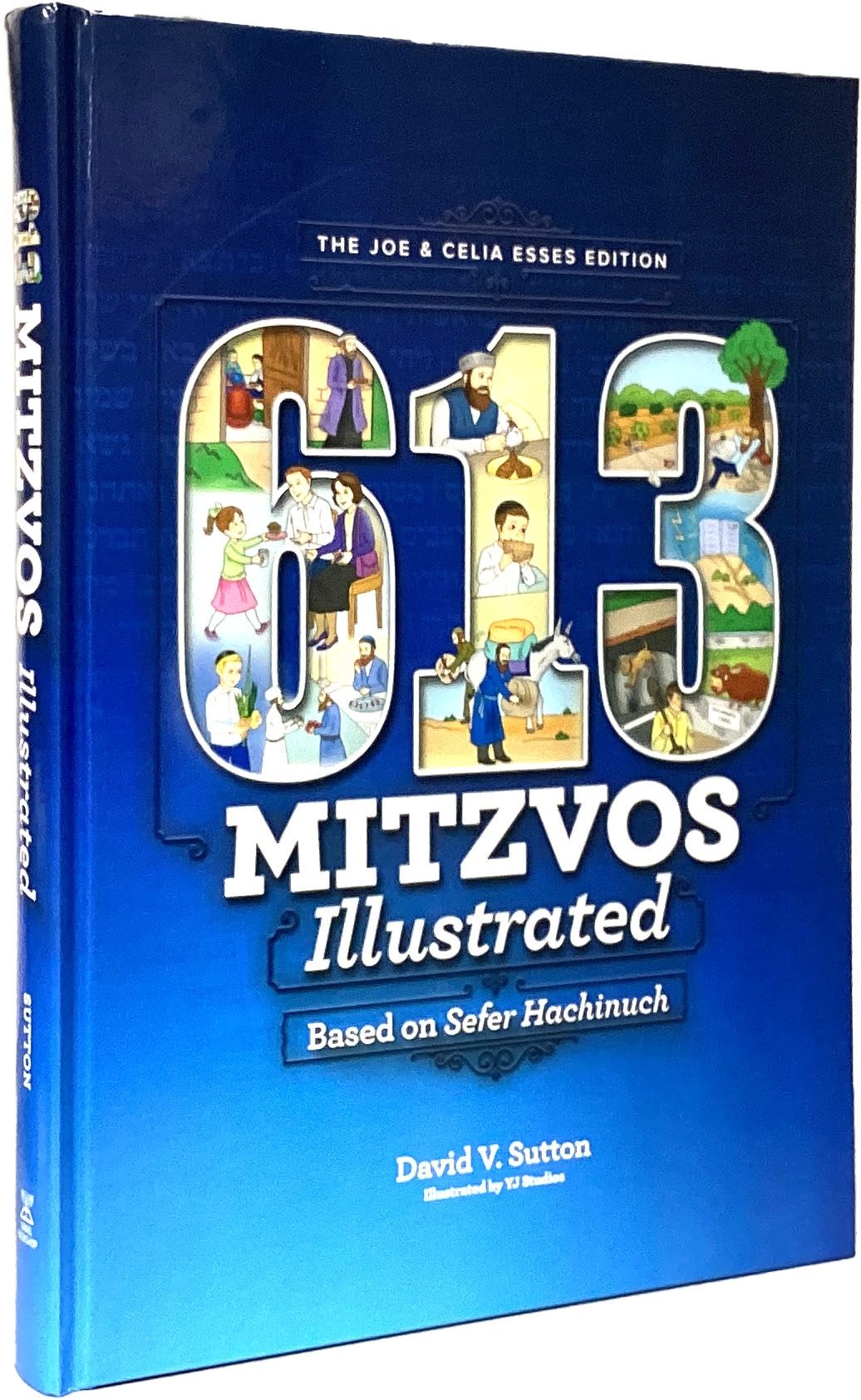 613 Mitzvos Illustrated