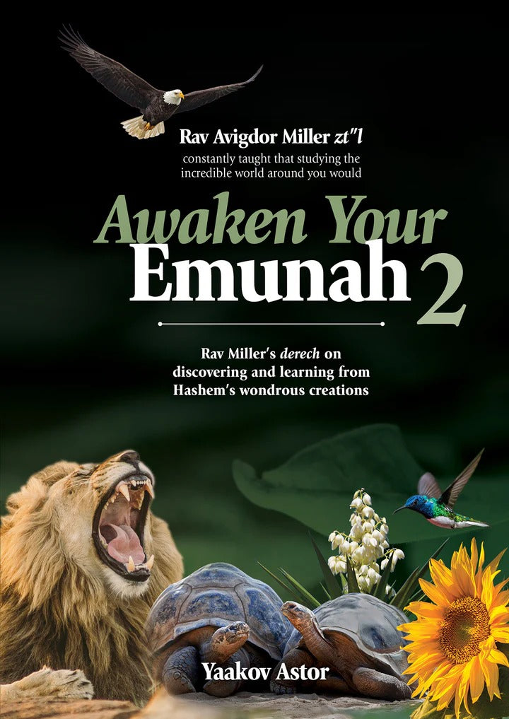 Awaken Your Emunah 2