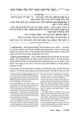 Artsctroll: Baal Haturim Chumash - Vayikra by Rabbi Avie Gold