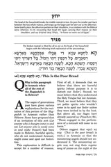 Artscroll: Haggadah: Abarbanel by Rabbi Yisrael Isser Zvi Herczeg