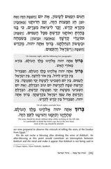 Artscroll: Haggadah: Gedolei Yisroel by Rabbi Dovid Stein