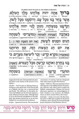 Artscroll: Schottenstein Ed Interlinear Haggadah - P/B by Rabbi Menachem Davis