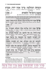 Artscroll: Schottenstein Ed Interlinear Haggadah - P/B by Rabbi Menachem Davis