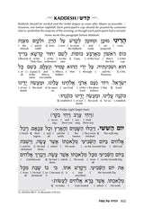 Reb Meilech on the Haggadah - Insights Stories & Commentaries