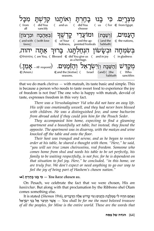 Reb Meilech on the Haggadah - Insights Stories & Commentaries