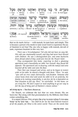 Reb Meilech on the Haggadah - Insights Stories & Commentaries