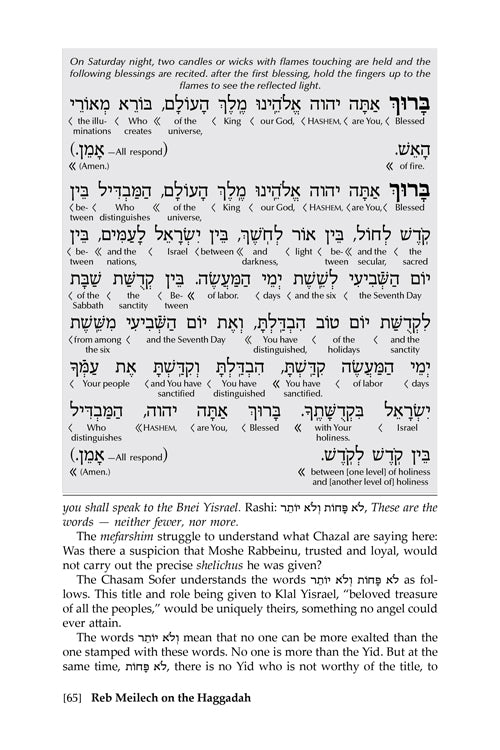 Reb Meilech on the Haggadah - Insights Stories & Commentaries