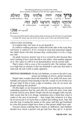 Reb Meilech on the Haggadah - Insights Stories & Commentaries