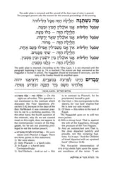 Artscroll: Haggadah: Vilna Gaon by Rabbi Yisrael Isser Zvi Herczeg