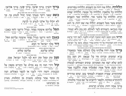 Schottenstein Ed Interlinear Kiddush Levanah Set of 24 Laminated Cards with Lucite Box