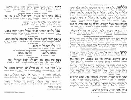 Schottenstein Ed Interlinear Kiddush Levanah Set of 24 Laminated Cards with Lucite Box