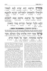 Schottenstein Interlinear Pesach Machzor Full Size Ashkenaz