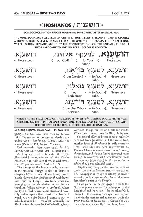 Schottenstein Interlinear Succos Machzor Full Size Ashkenaz