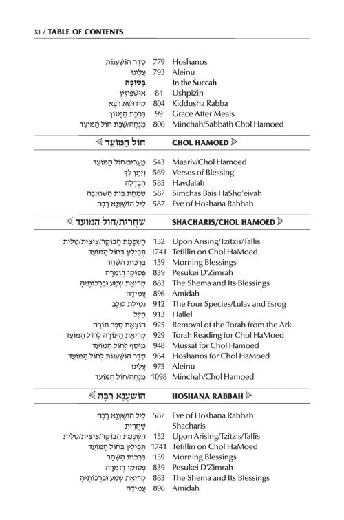 Schottenstein Interlinear Succos Machzor Full Size Ashkenaz