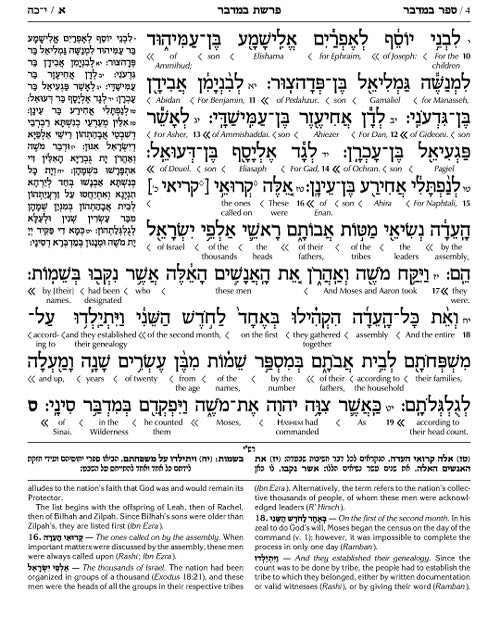 Schottenstein Ed Interlinear Chumash Vol 4: Bamidbar / Numbers