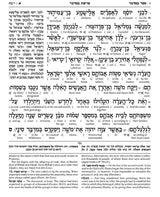 Schottenstein Ed Interlinear Chumash Vol 4: Bamidbar / Numbers