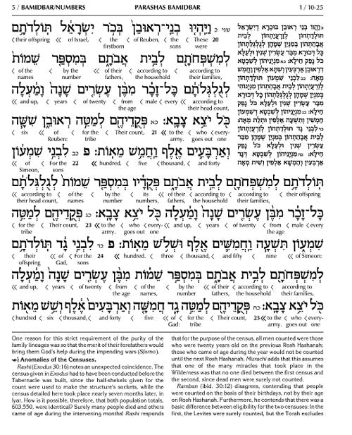 Schottenstein Ed Interlinear Chumash Vol 4: Bamidbar / Numbers