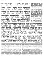 Schottenstein Ed Interlinear Chumash Vol 4: Bamidbar / Numbers