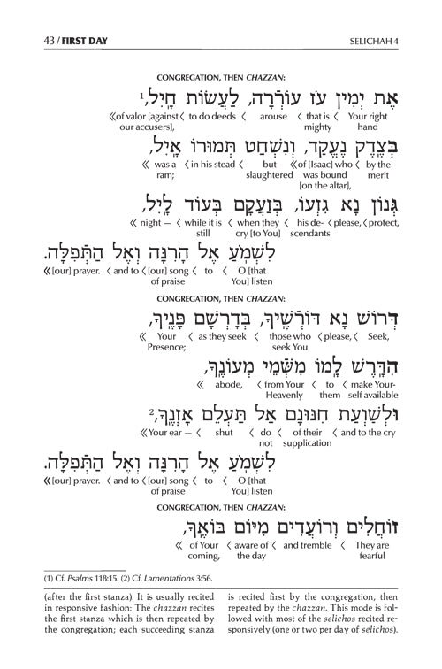 Schottenstein Edition Interlinear Selichos: Full Size Nusach Lita Ashkenaz