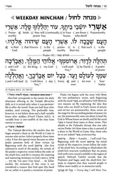 Siddur Interlinear Sabbath & Festivals Full Size Ashkenaz Schottenstein Edition