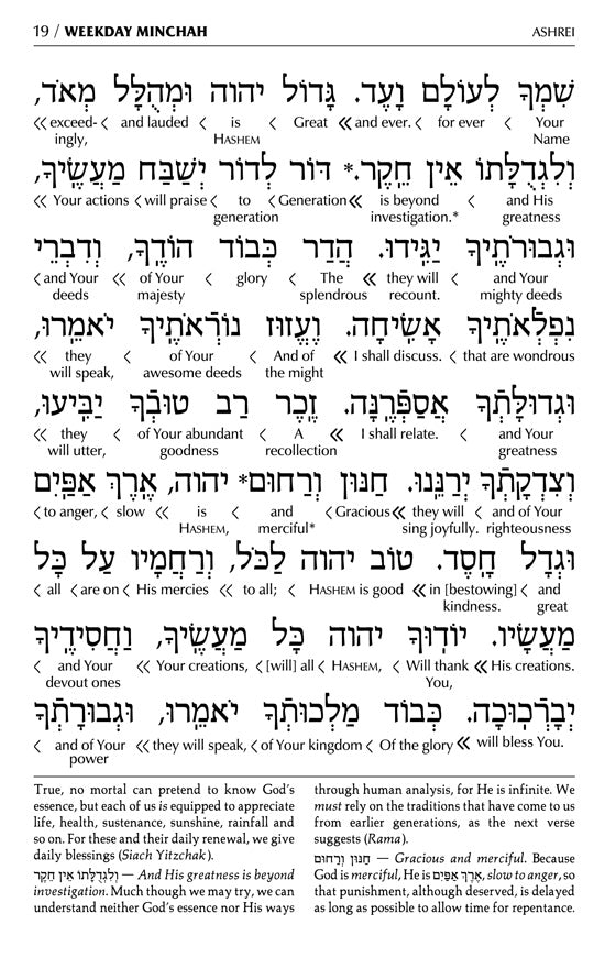 Siddur Interlinear Sabbath & Festivals Full Size Ashkenaz Schottenstein Edition