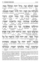 Siddur Interlinear Sabbath & Festivals Full Size Ashkenaz Schottenstein Edition