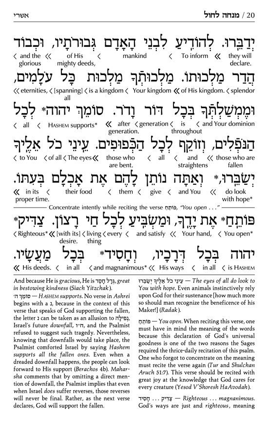 Siddur Interlinear Sabbath & Festivals Full Size Ashkenaz Schottenstein Edition