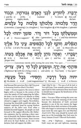 Siddur Interlinear Sabbath & Festivals Full Size Ashkenaz Schottenstein Edition