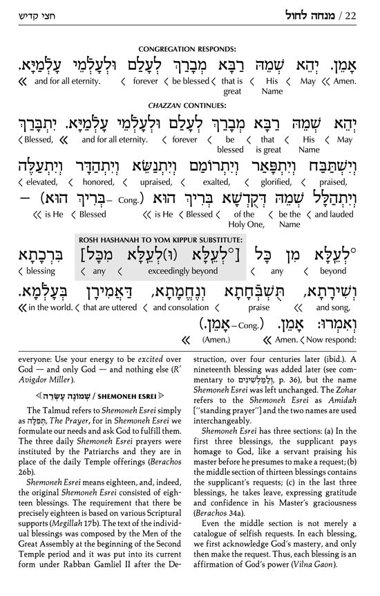 Siddur Interlinear Sabbath & Festivals Full Size Ashkenaz Schottenstein Edition