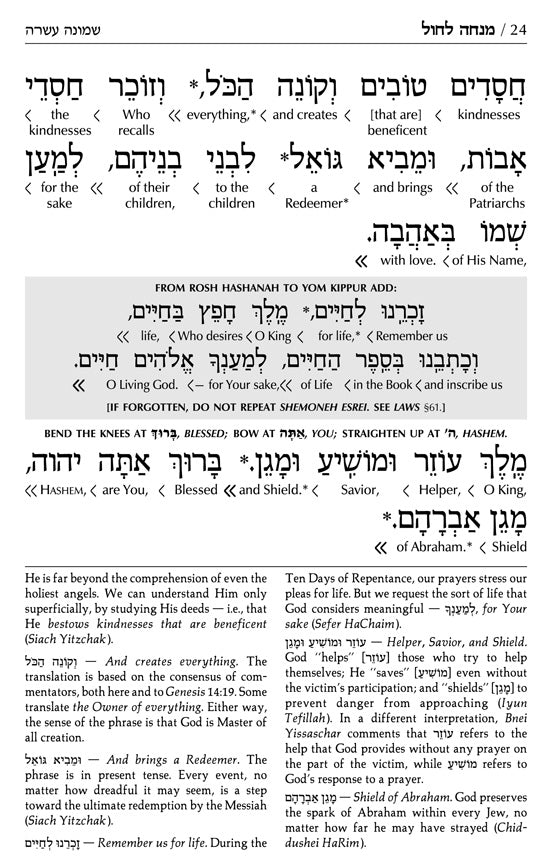 Siddur Interlinear Sabbath & Festivals Full Size Ashkenaz Schottenstein Edition