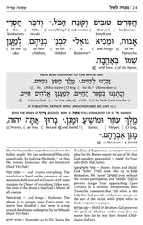 Siddur Interlinear Sabbath & Festivals Full Size Ashkenaz Schottenstein Edition