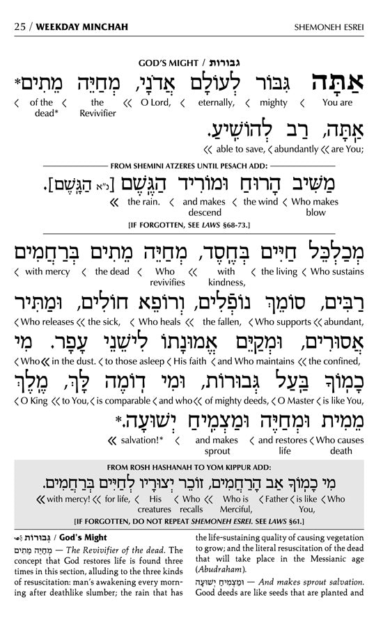 Siddur Interlinear Sabbath & Festivals Full Size Ashkenaz Schottenstein Edition