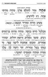 Siddur Interlinear Sabbath & Festivals Full Size Ashkenaz Schottenstein Edition