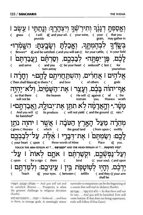 Siddur Interlinear Weekday Full Size - Sefard - Schottenstein Edition