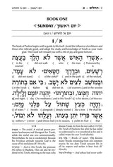 Interlinear Tehillim /Psalms Full Size The Schottenstein Edition