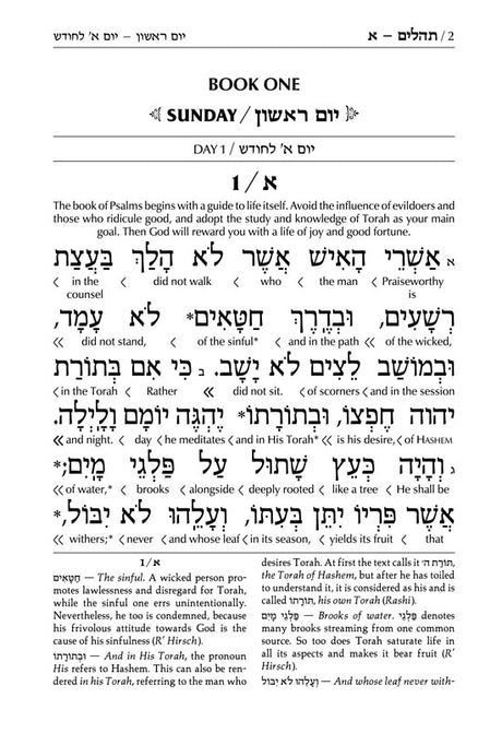 Interlinear Tehillim /Psalms Full Size The Schottenstein Edition