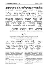 Interlinear Tehillim /Psalms Full Size The Schottenstein Edition