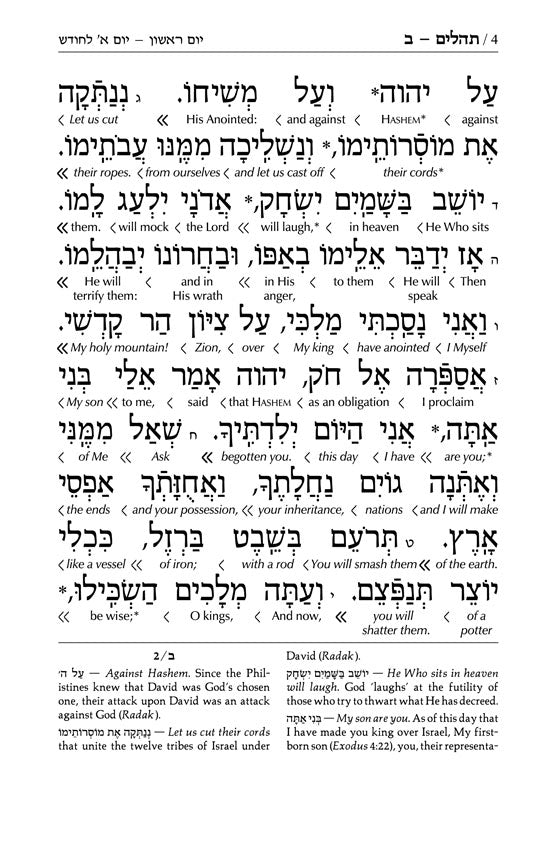 Interlinear Tehillim /Psalms Full Size The Schottenstein Edition