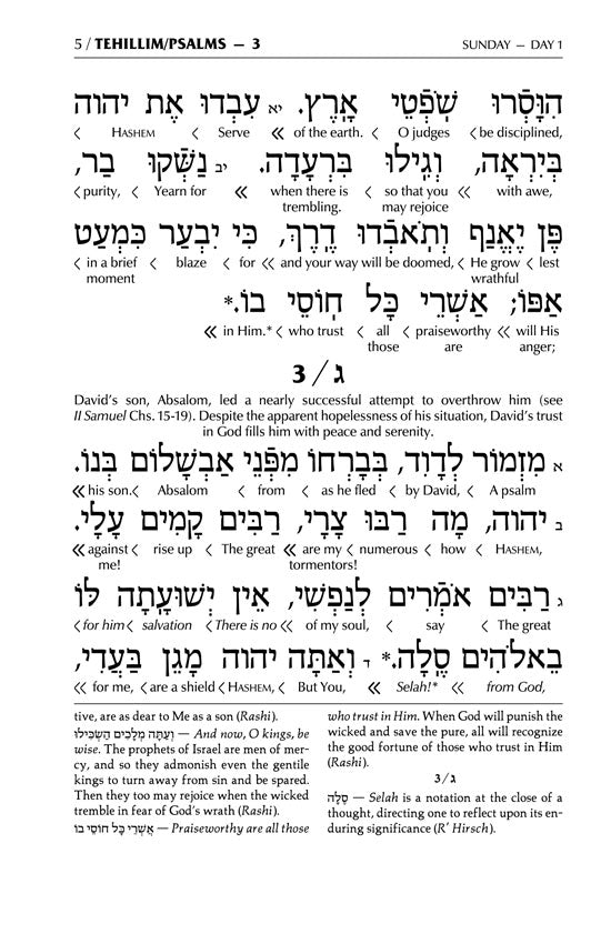 Interlinear Tehillim /Psalms Full Size The Schottenstein Edition