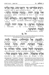 Interlinear Tehillim /Psalms Full Size The Schottenstein Edition