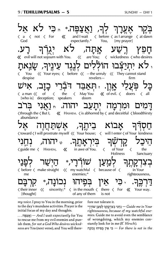 Interlinear Tehillim /Psalms Full Size The Schottenstein Edition