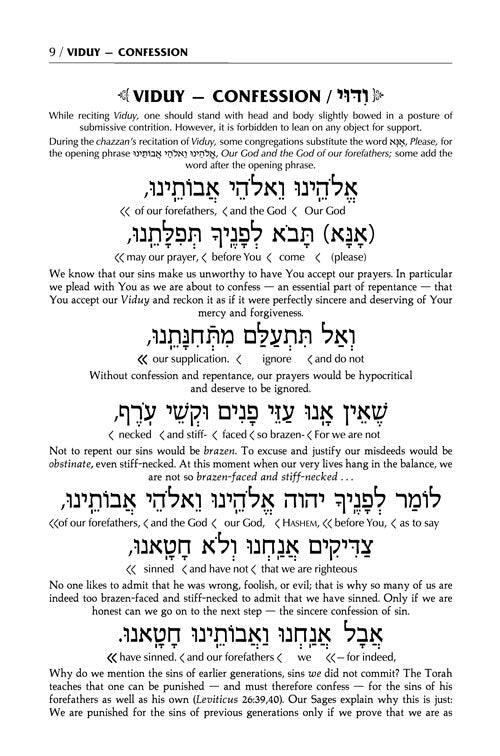 Artscroll: Intrelinear Viduy / Confession by Rabbi Menachem Davis