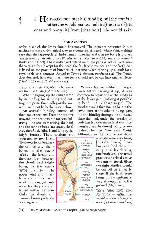 Artscroll: Yad Avraham Mishna Series: 34 Tractates Tamid, Middos, Kinnim (Seder Kodashim)