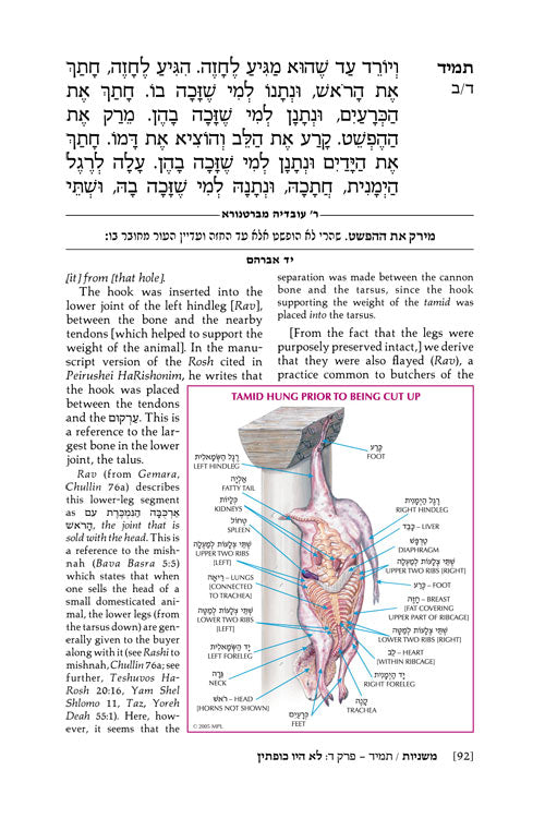 Artscroll: Yad Avraham Mishna Series: 34 Tractates Tamid, Middos, Kinnim (Seder Kodashim)