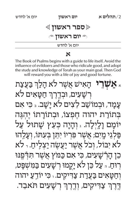 Artscroll: Large Type Tehillim / Psalms Full Size