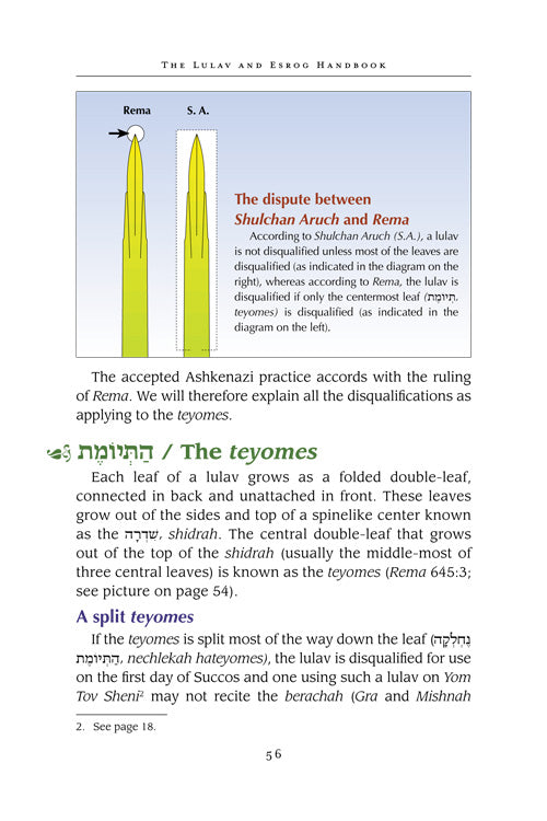 The Lulav and Esrog Handbook