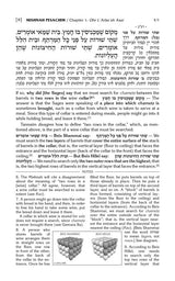 Schottenstein Ed. Mishnah Elucidated Gryfe Ed Seder Moed Volume 2