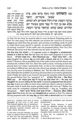 Schottenstein Ed. of the Mishnah Elucidated: Seder Moed Volume 3