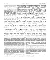 Schottenstein Interlinear Complete Chumash - Travel Size - Ashkenaz