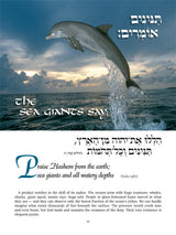 Artscroll: Perek Shirah - The Song of the Universe - Full Size by Rabbi Nosson Scherman